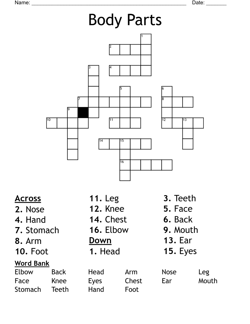 foot part crossword clue foot part crossword clue