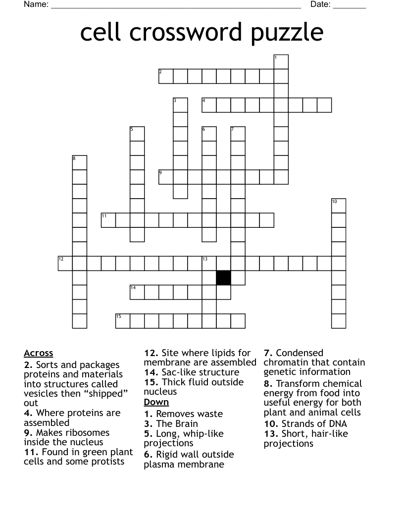 Cell Crossword Puzzle WordMint