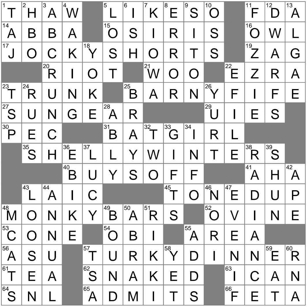 army shirt nyt crossword