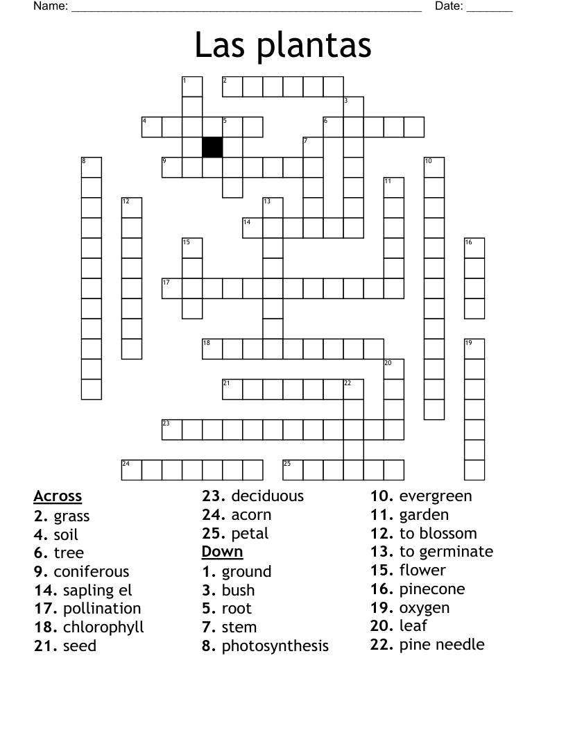 evergreen seed crossword