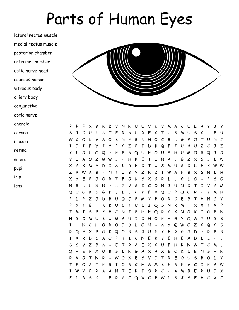 Parts Of Human Eyes Word Search WordMint Parts Of Human Eyes Word Search WordMint