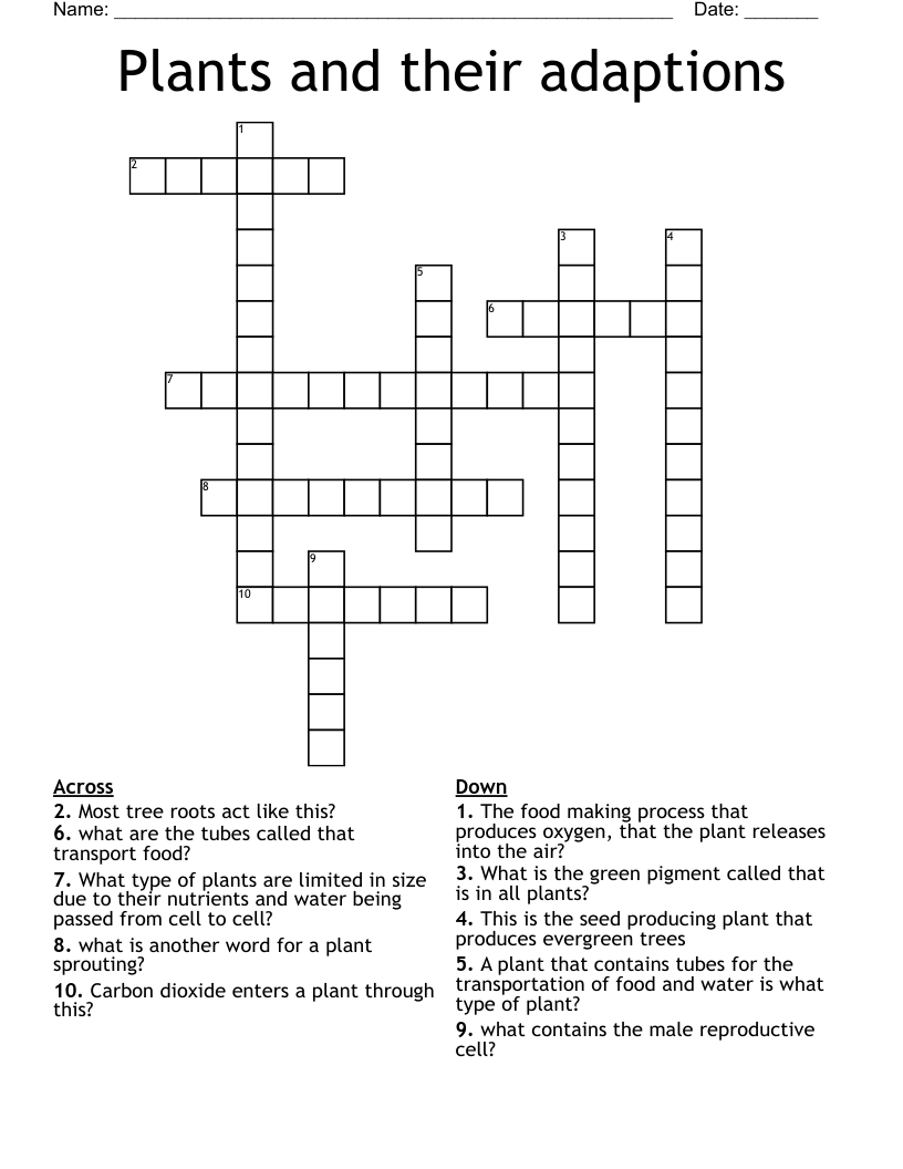 Plants And Their Adaptions Crossword WordMint