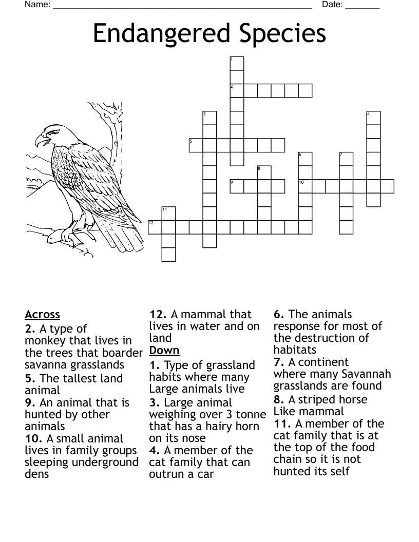 marsh bird crossword puzzle