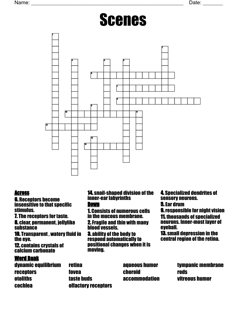 help for night vision crossword