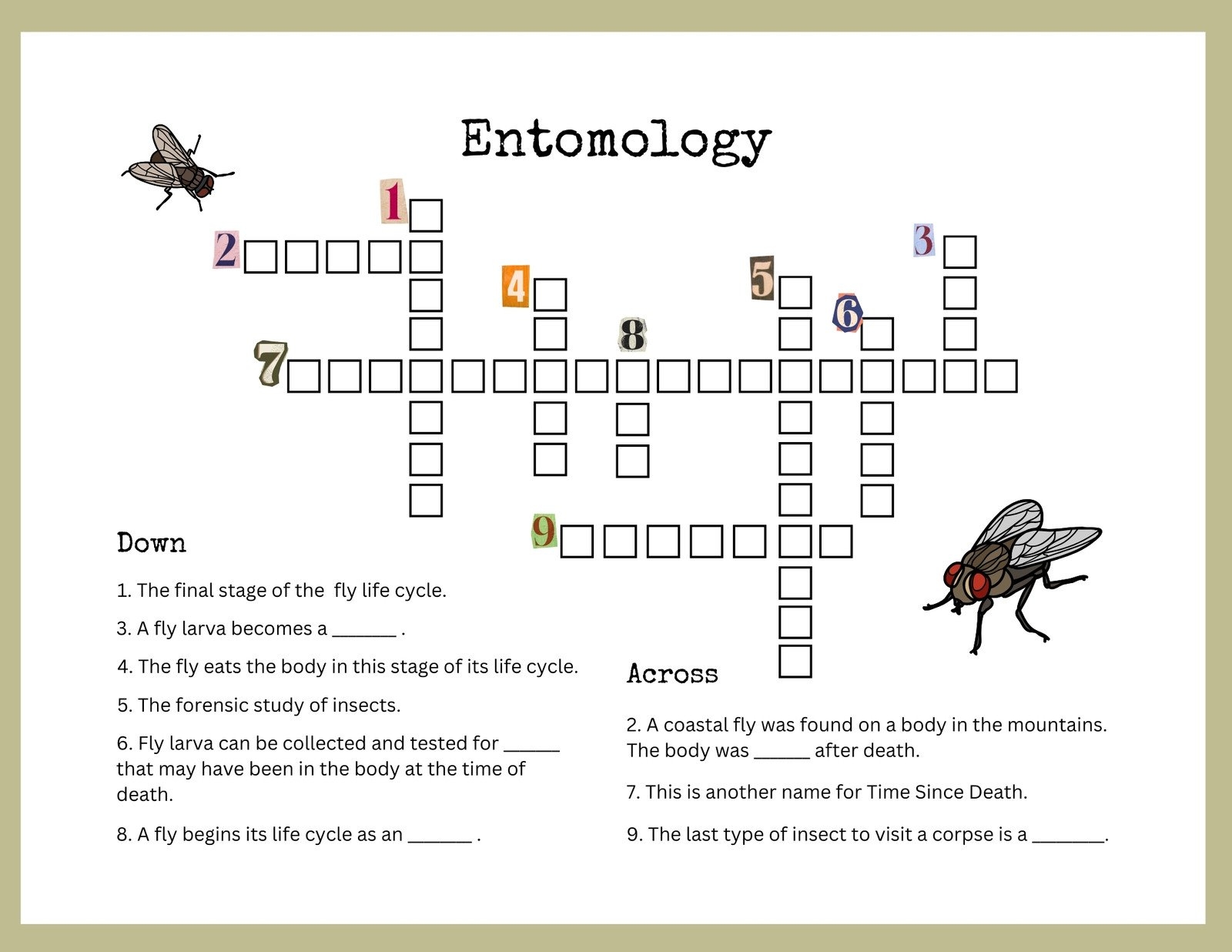 insect stage crossword clue