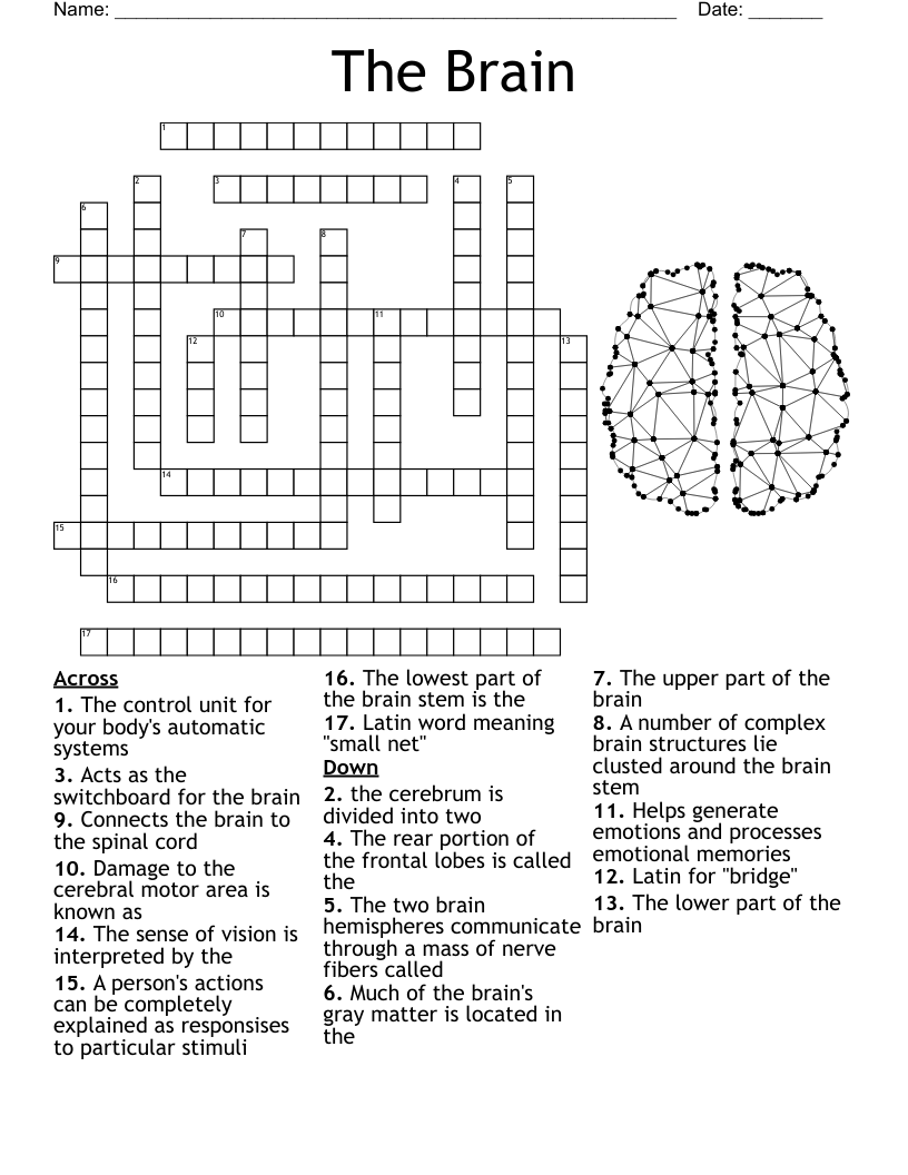The Brain Crossword WordMint