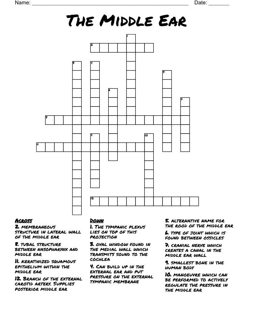 The Middle Ear Crossword WordMint