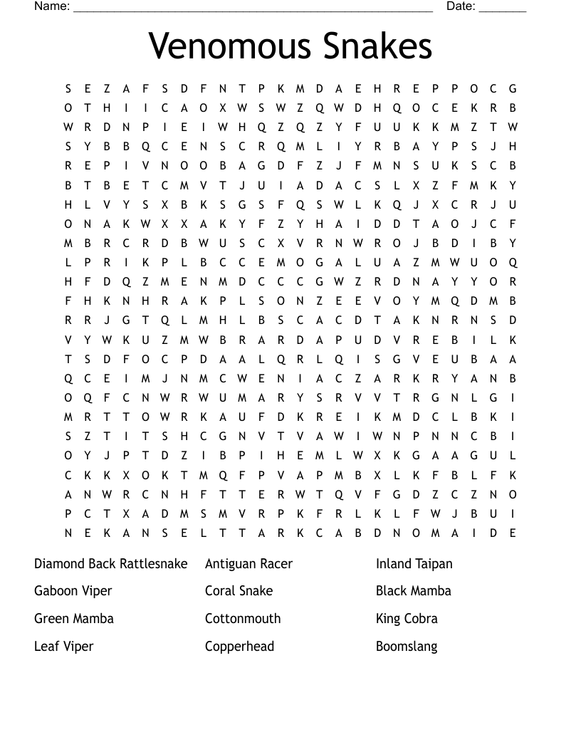 Venomous Snakes Word Search WordMint