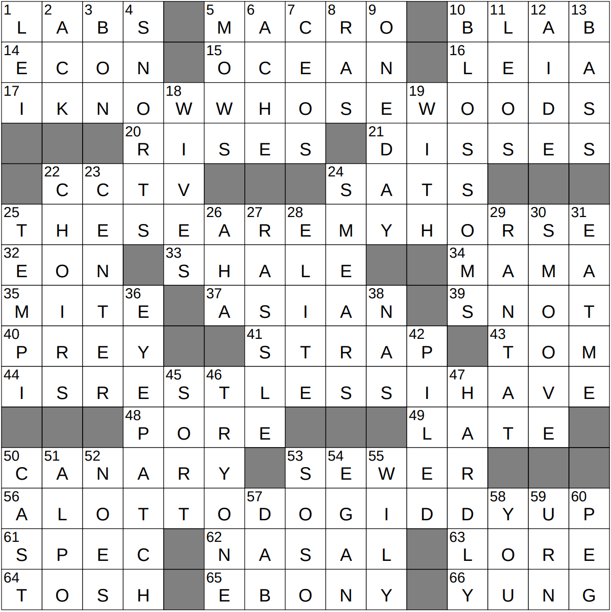 witticism crossword puzzle clue
