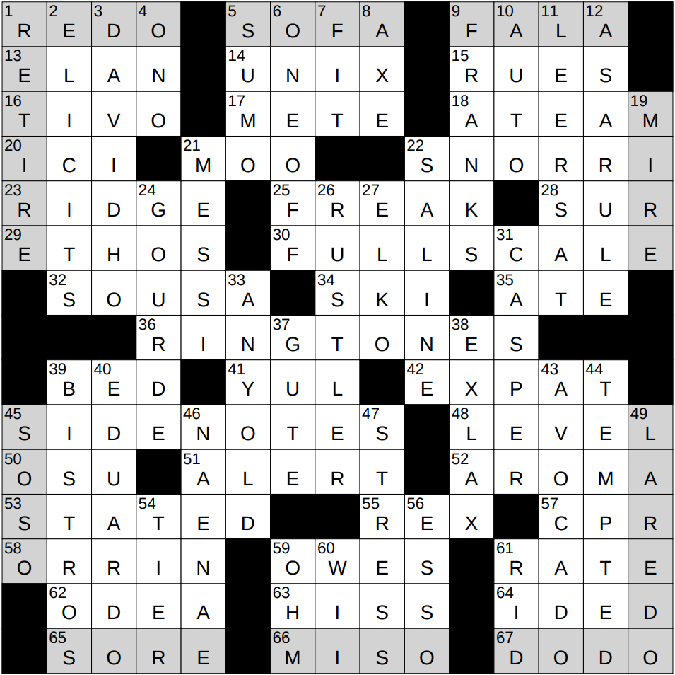swampy ground crossword clue