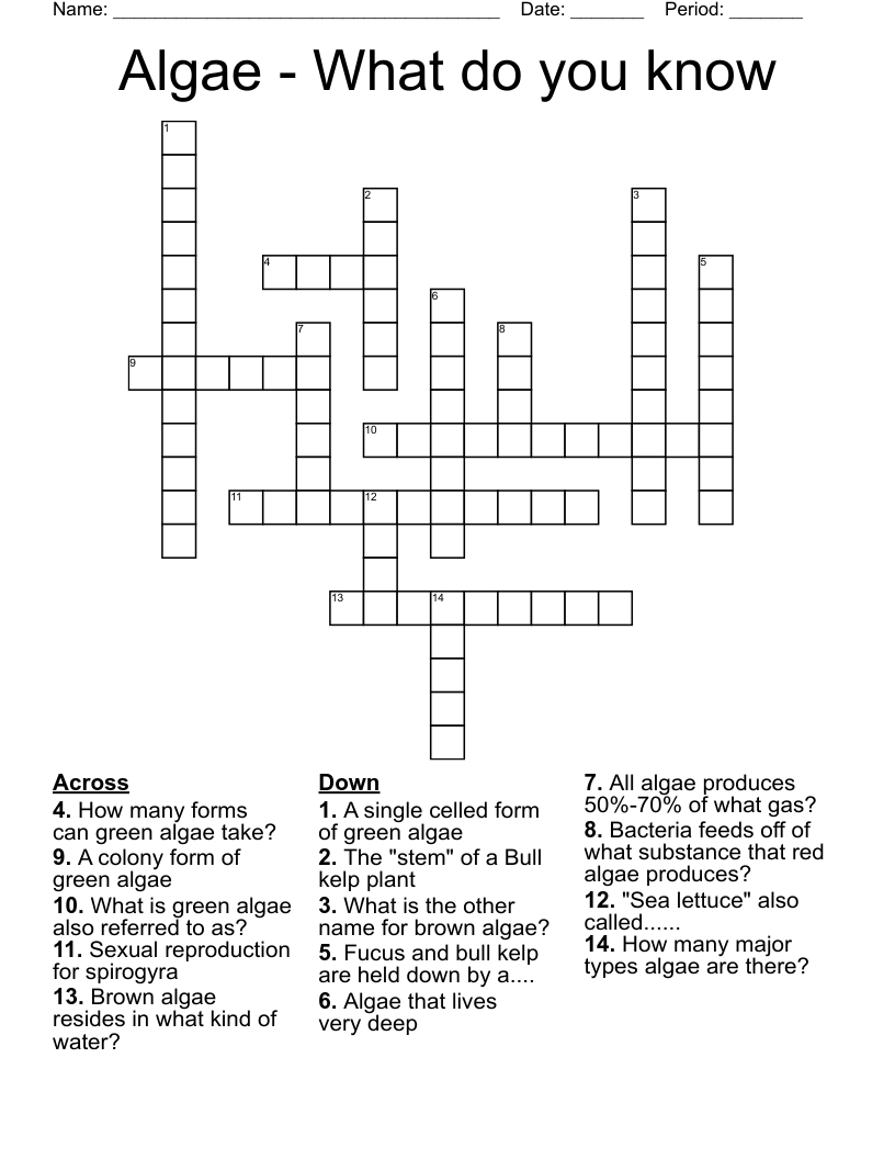 Algae What Do You Know Crossword WordMint