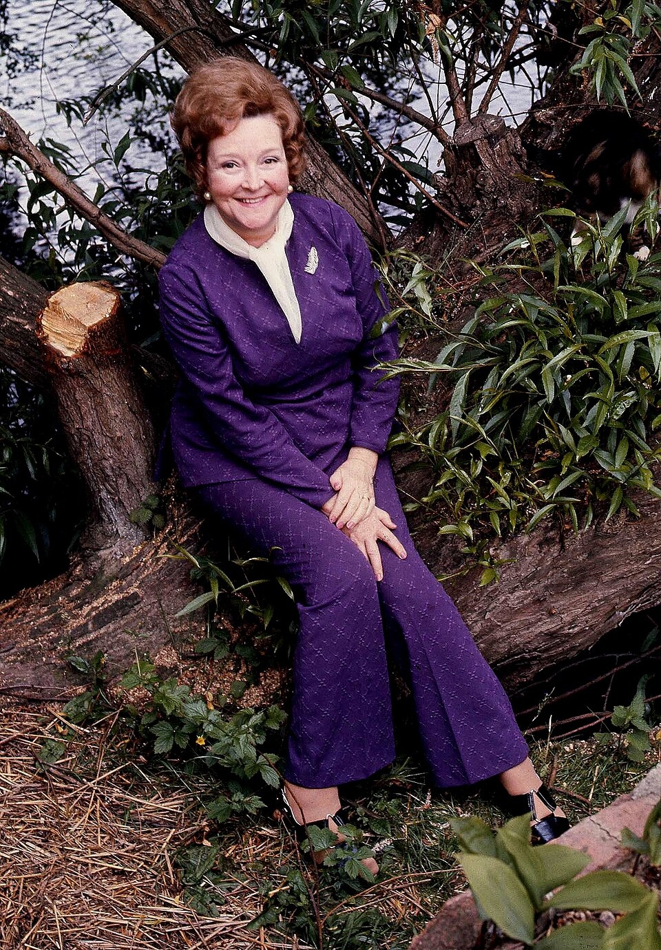 actress reid crossword clue actress reid crossword clue