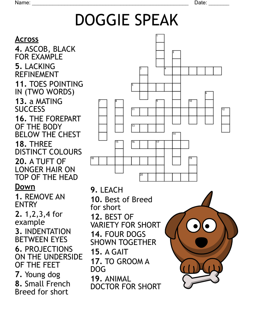 Best Certain Yappy Dogs For Short Crossword Factory Sale