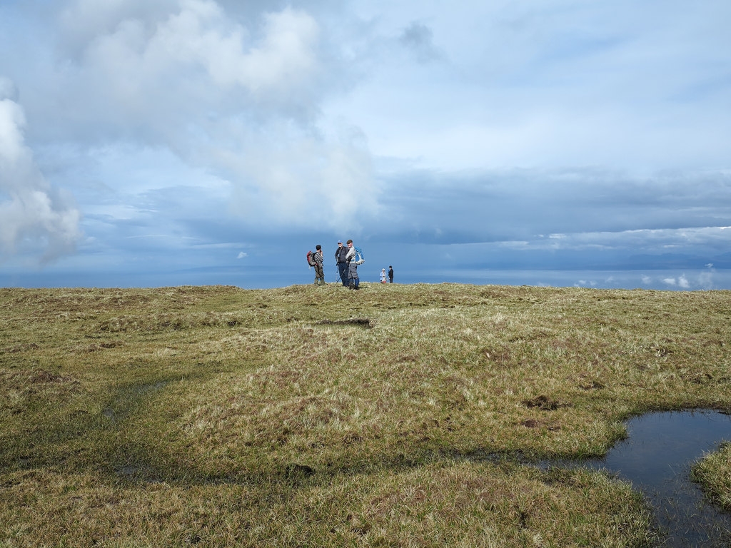Boggy Ground Crossword Clue 4 Letters