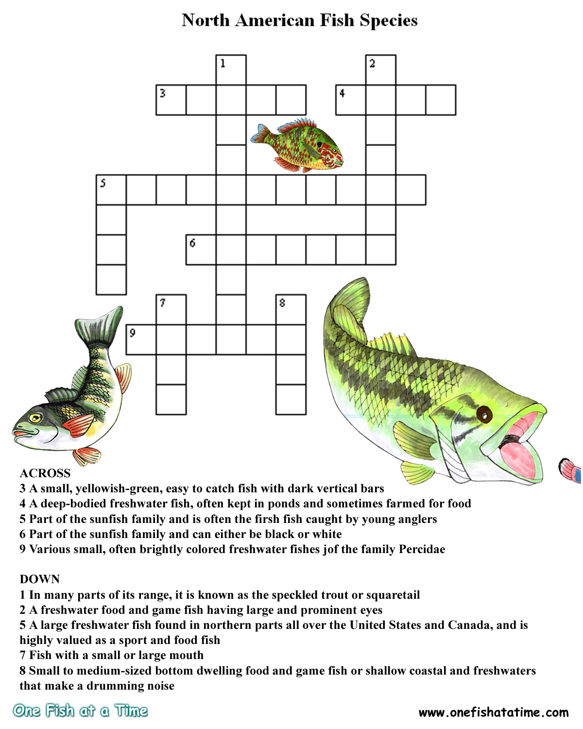 young fish crossword clue young fish crossword clue