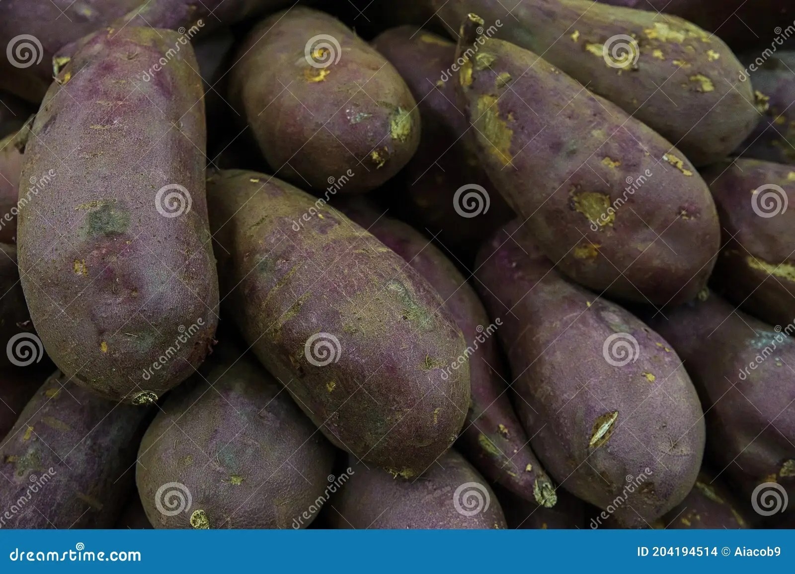 tropical tuber crossword clue