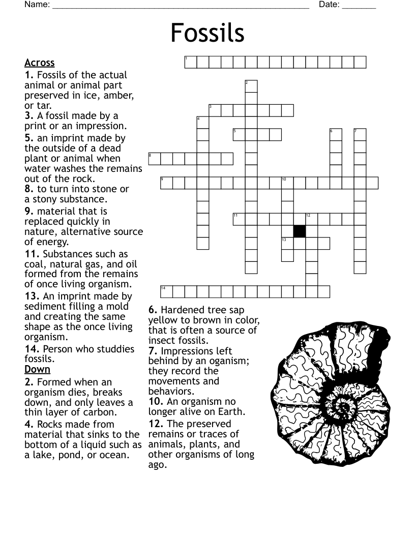 Fossils Crossword WordMint