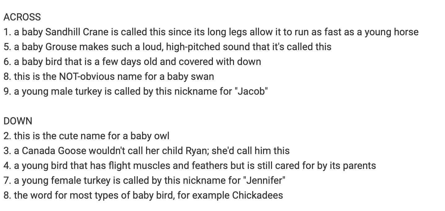 Kid s Corner Baby Bird Crossword Puzzle Bird Town Pennsylvania