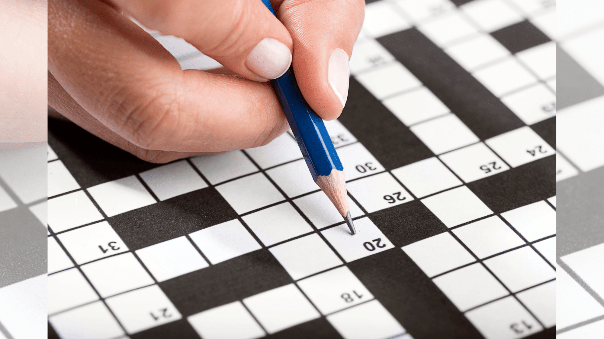 prefix meaning new crossword