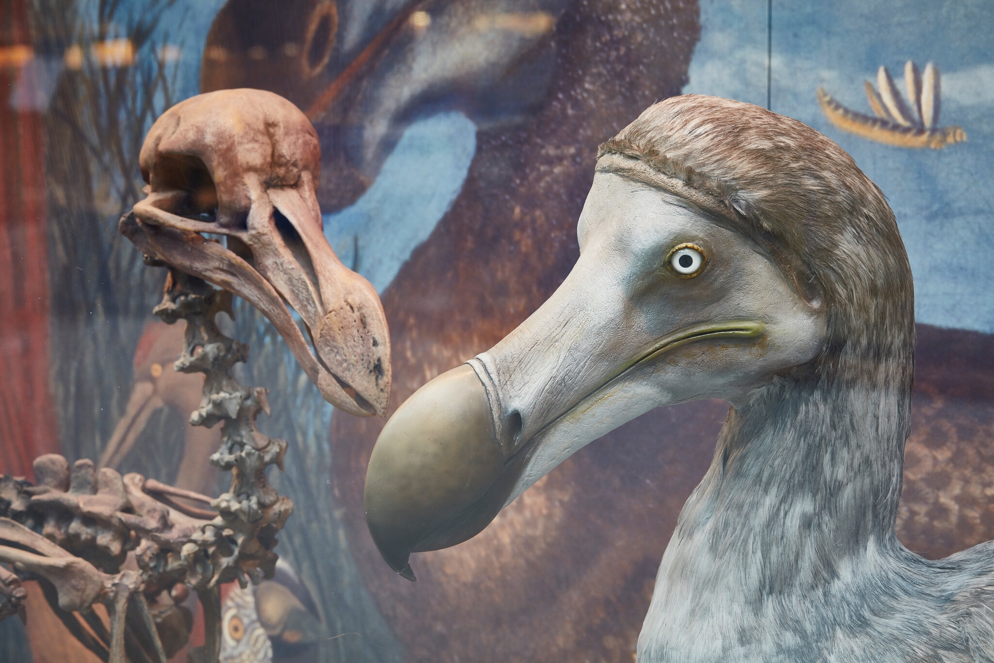 extinct bird crossword puzzle clue