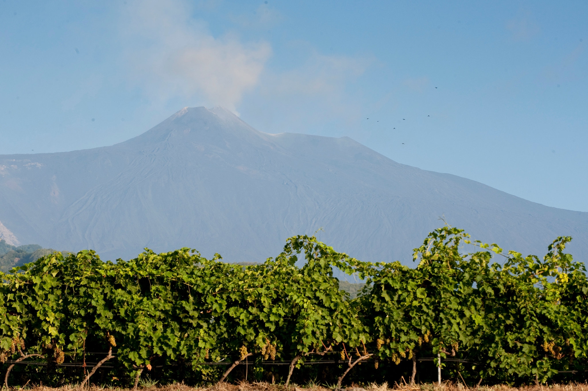 On Top Of Mount Etna A Lesson In Lava and Luck The New York Times