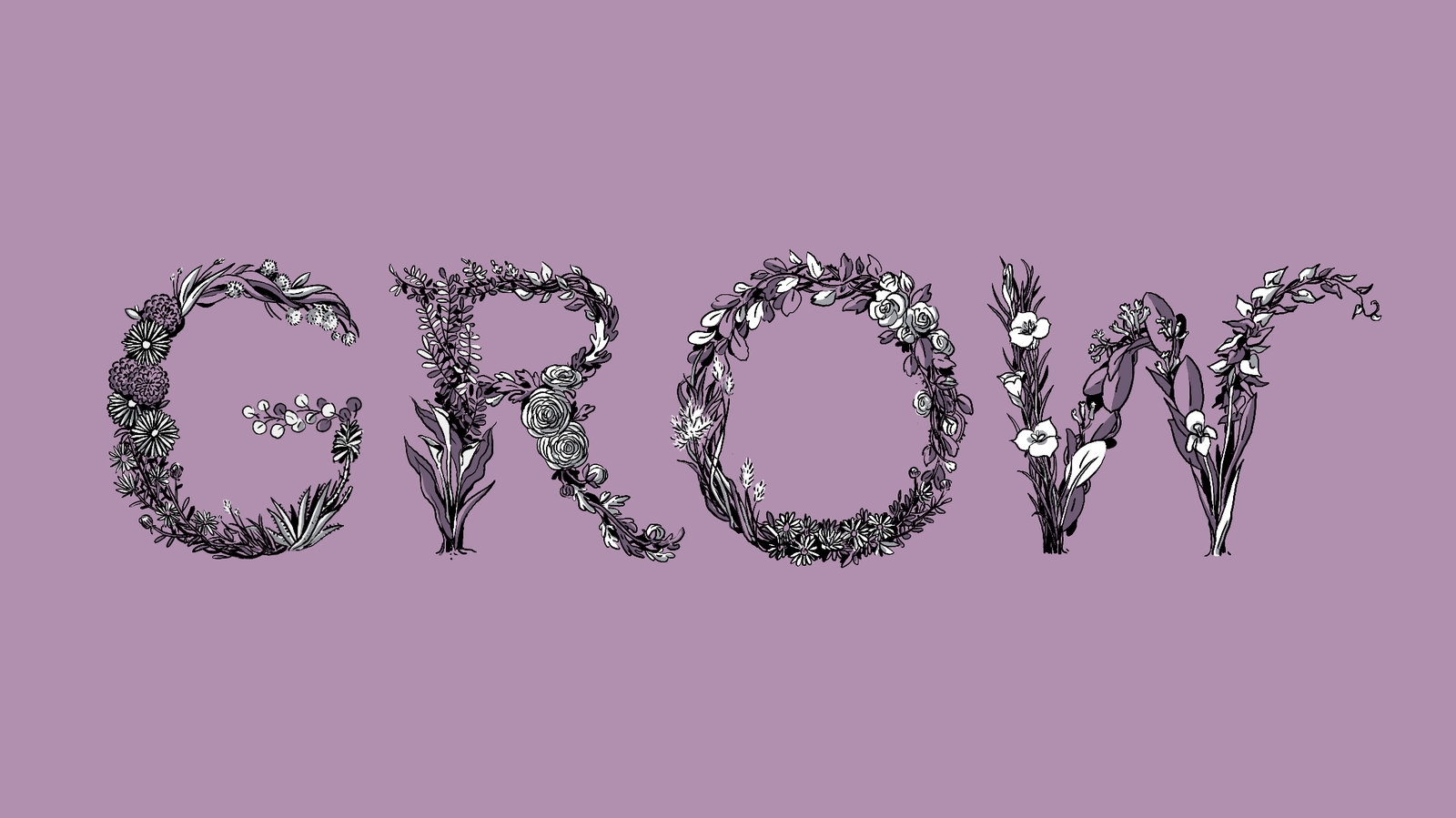 daisy variety crossword clue