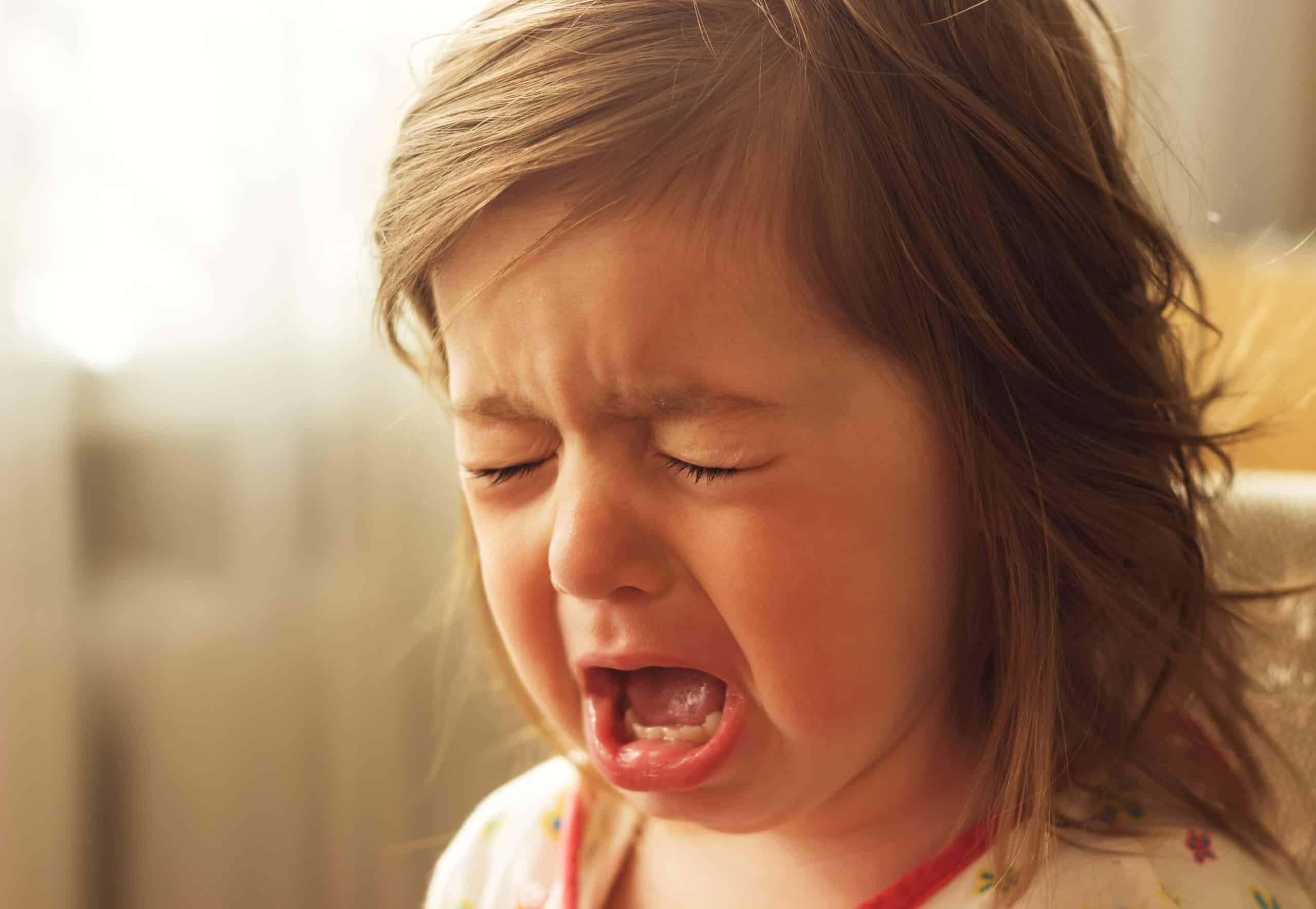 excited toddlers cry crossword