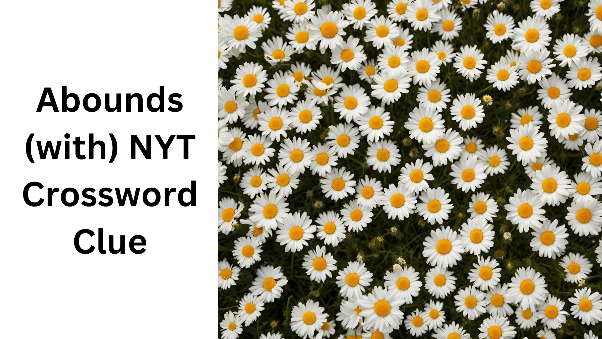 abound with crossword clue abound with crossword clue