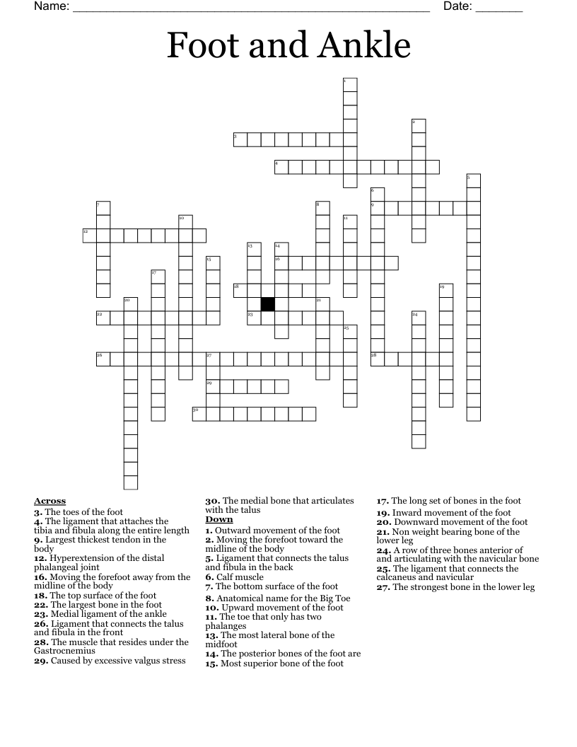 Ankle And Foot Joint Crossword WordMint