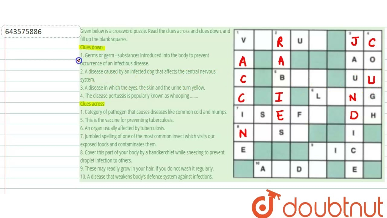 follow from crossword clue