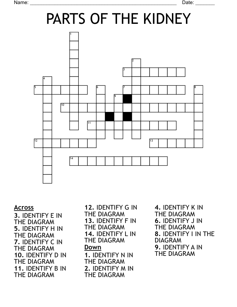 kind of circle diagram crossword clue