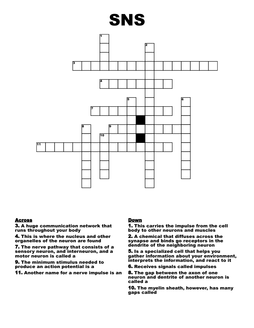 nerve network crossword clue