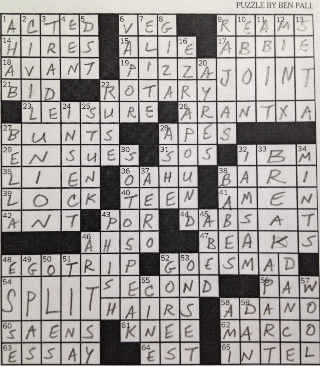 diary of a crossword puzzle fiend